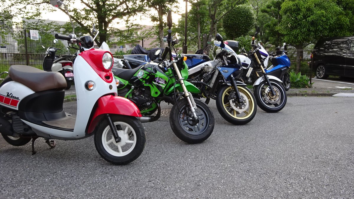 tomo0910network tweet media