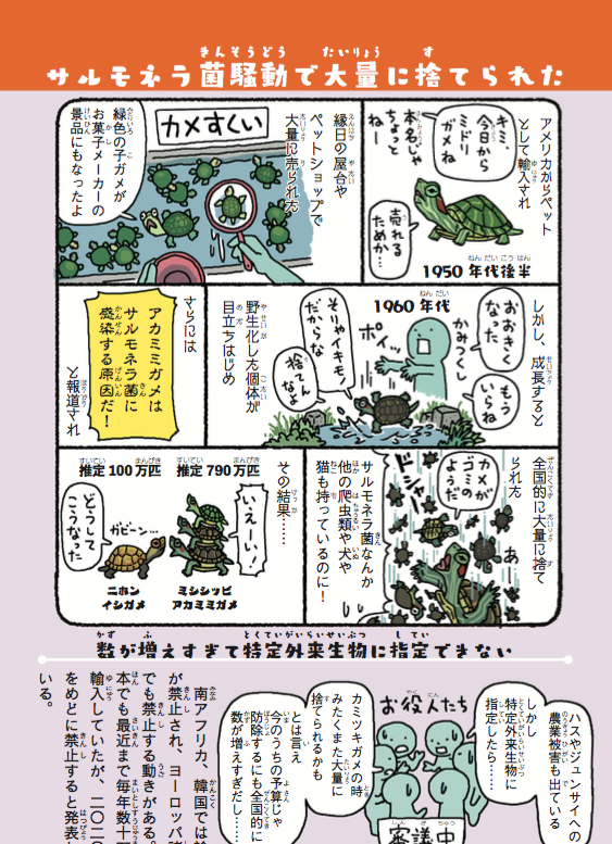 『池の水ぜんぶ抜く』がアカミミガメ捕獲祭りになってるらしいので、アカミミガメの話。

【ミシシッピアカミミガメ】緊急対策外来種
・通称"ミドリガメ"
・公園の池によくいるあのカメ
・首の横にある赤い模様が特徴

『侵略!#外来いきもの図鑑 』
https://t.co/I1NSzJmws8
 #池の水ぜんぶ抜く 