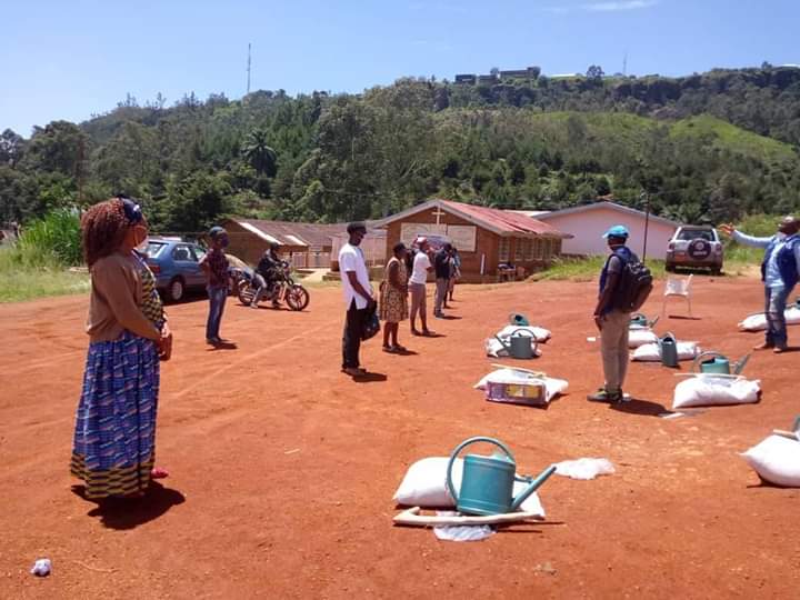 Caritas_Bamenda's tweet photo. In a quest to build resilience, Caritas Bamenda with @FAOAfrica has been supporting IDPs and vulnerable host Households with agricultural inputs, which has helped beneficiaries to engage in sustainable income generating agricultural activities.

#BringingHopetotheVulnerable https://t.co/DYQn2hnJIg