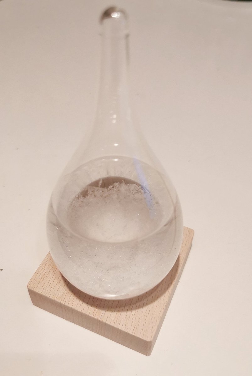 Wenqing Yan tweet media