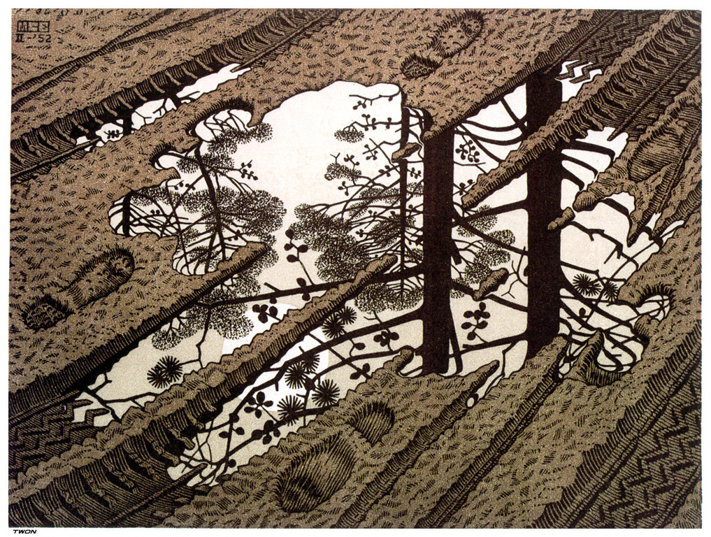 artistescher's tweet photo. Puddle, 1952 #escher #opart https://t.co/NdaaSikvPi