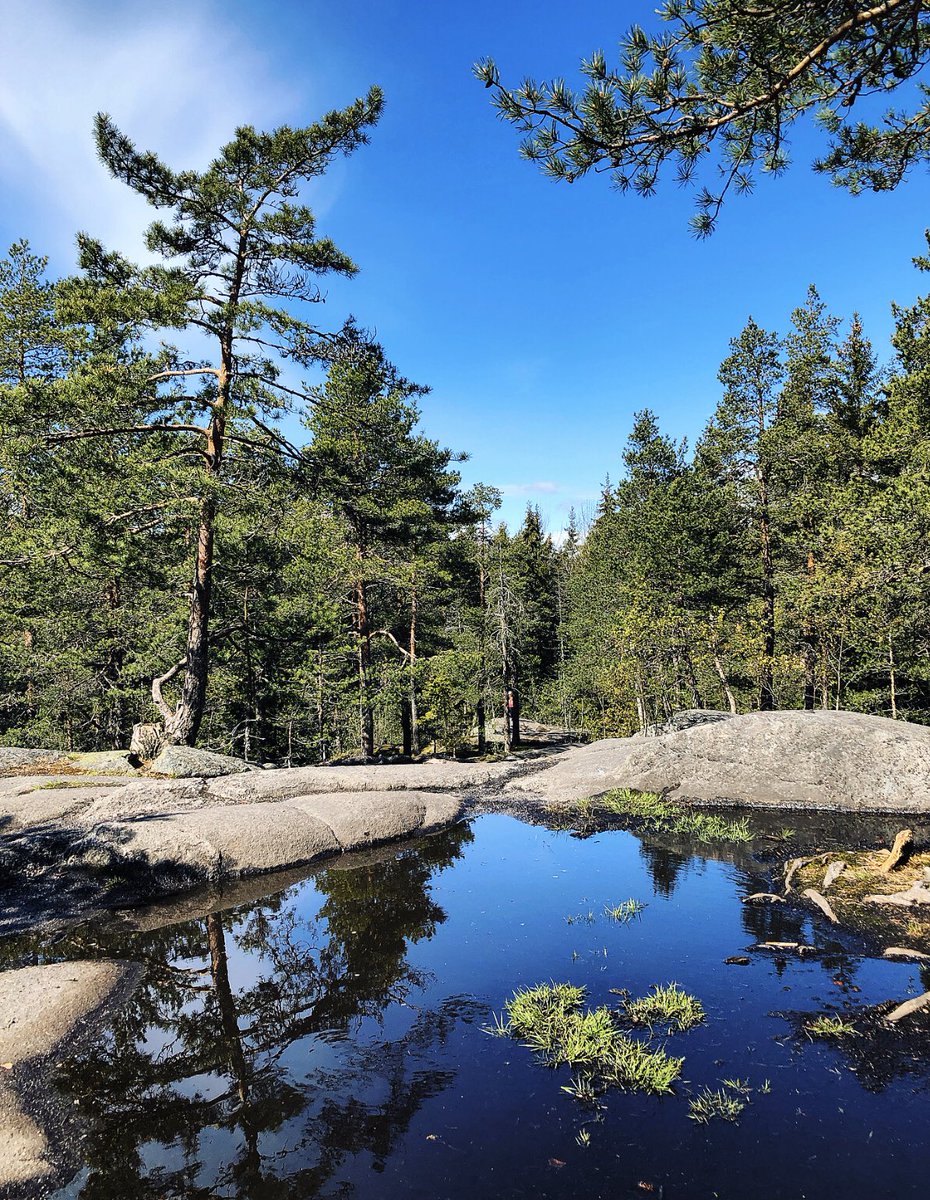 JanikeMa's tweet photo. Sinä #päättäjä päätät miltä näyttää keskuspuiston tulevaisuus. Onko se 1 vai 2? Kuunnellaan Leenaa. Hallin voi rakentaa myös metsän säilyttäen.🙏keskuspuistonpuolesta #urheiluhalli vai #Keskuspuisto #pirkkola #keskuspuistonpuolesta https://t.co/ypVkBtVLjL