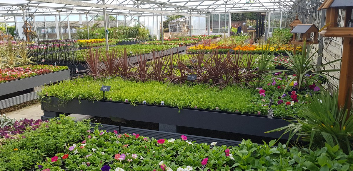 The place is looking colourful ready for tomorrow's opening.