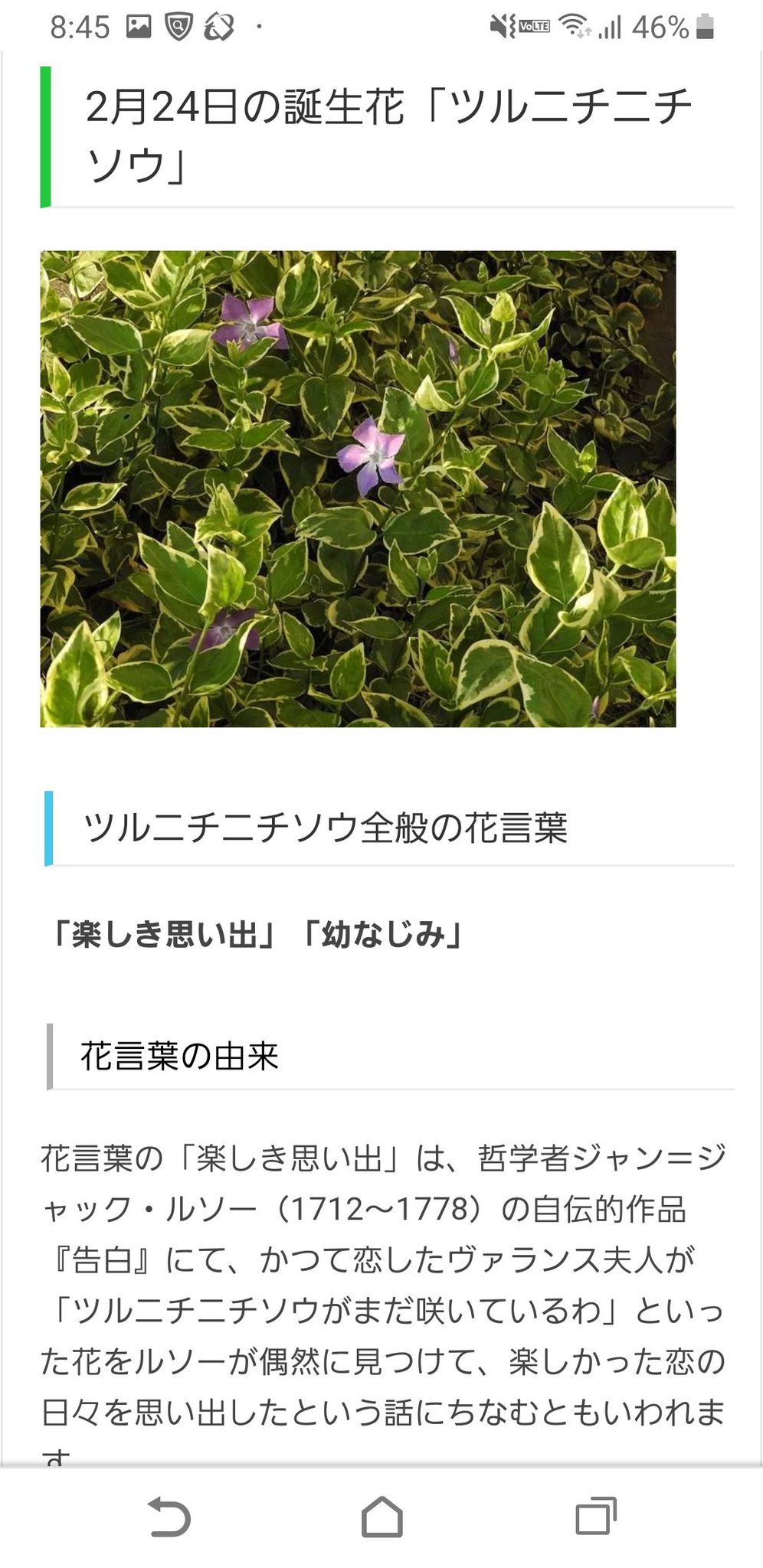 鷹媛 気なしにアズールの誕生花を覗いたらエモすぎて死んだ 鷹媛 気なしにアズールの誕生花を覗いたらエモすぎて死んだ