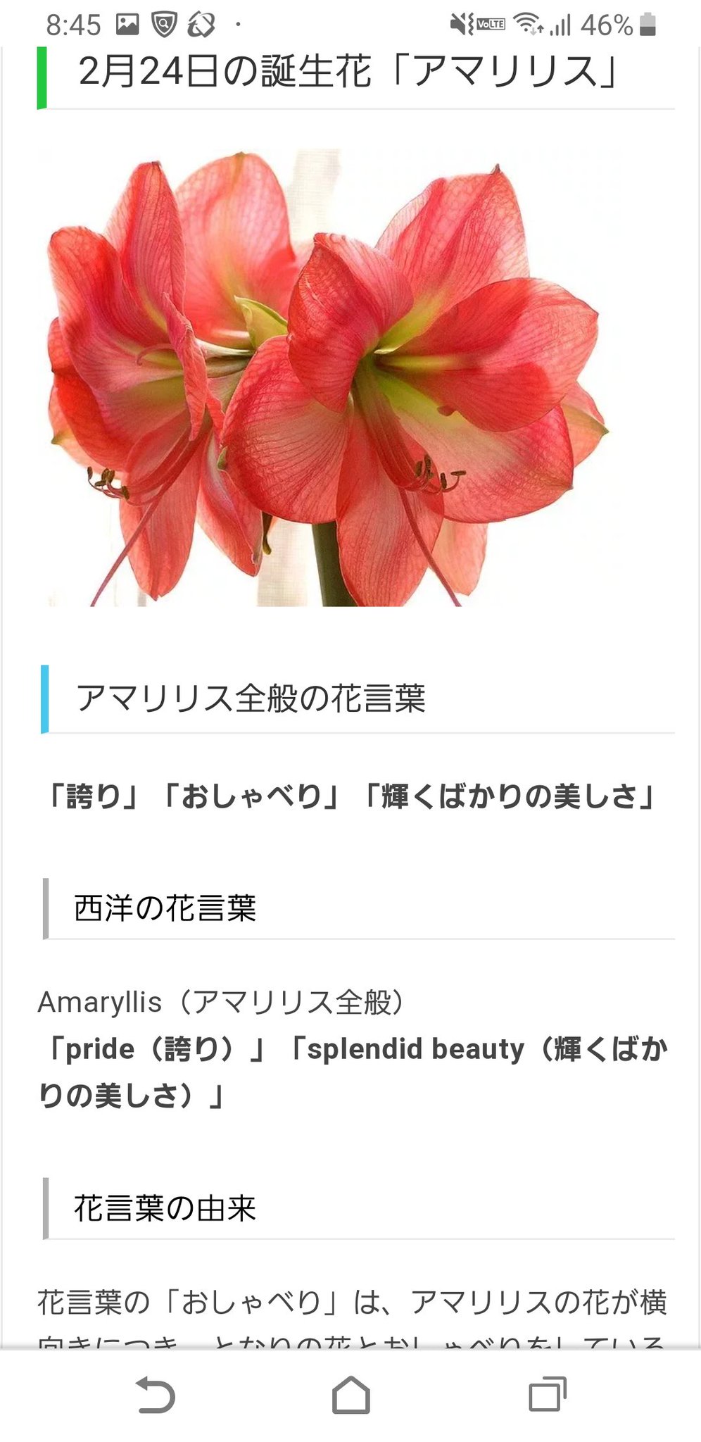 鷹媛 気なしにアズールの誕生花を覗いたらエモすぎて死んだ 鷹媛 気なしにアズールの誕生花を覗いたらエモすぎて死んだ