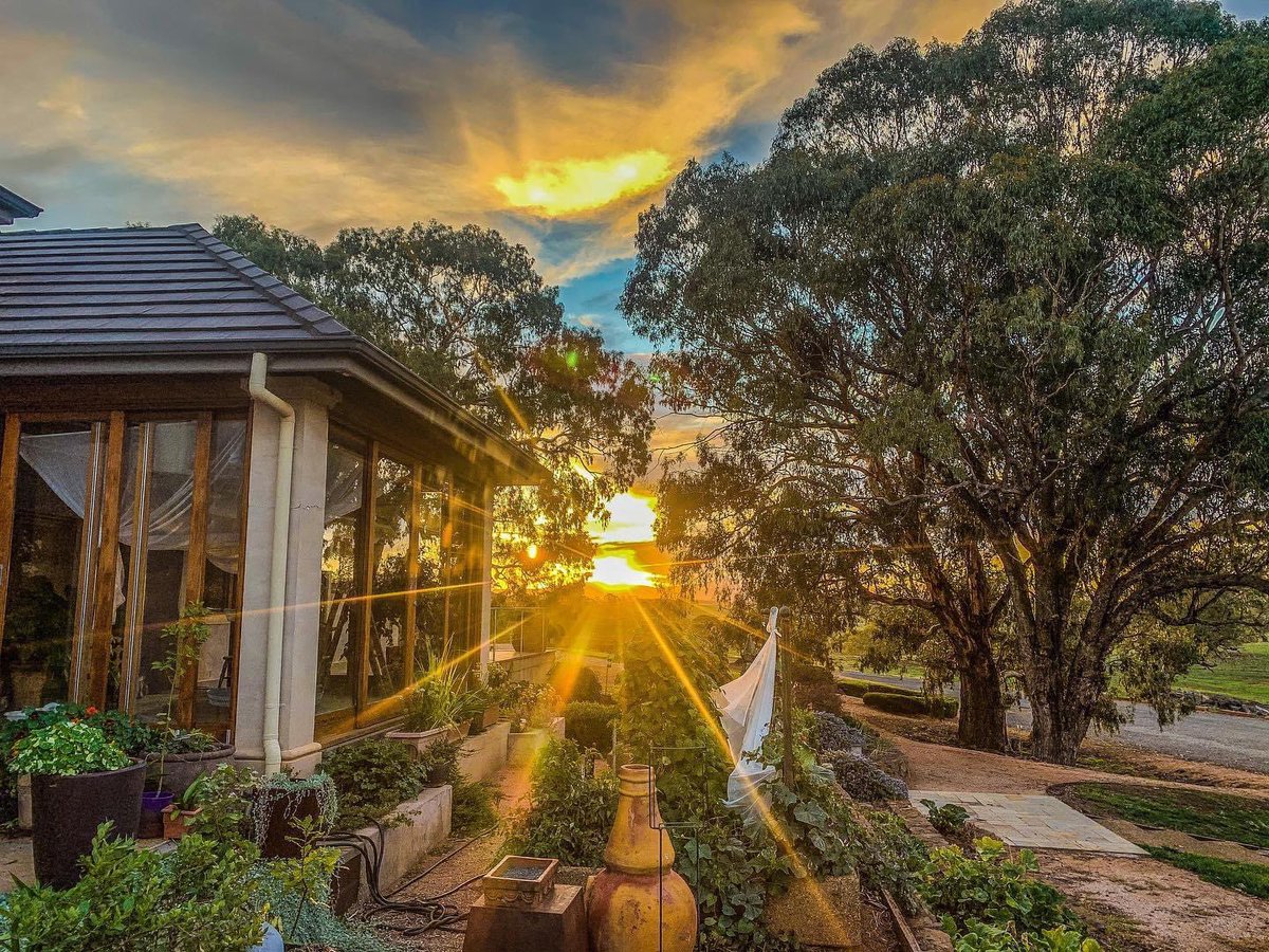 And that’s it for another working week ☺️ We hope everyone has a fantastic weekend #elevatedwines #coolclimatewines #orangewineregion #orangensw #winesoforange