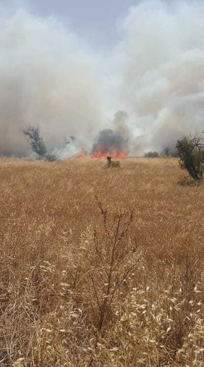 Blueyonetwo's tweet photo. A big bushfire is burning in the TRNC near the Maronite village of #Kormakitis/The village in trouble/No young people left to fight the flames// #Kormacit koyu civarinda buyuk bir yangin yaniyor/Koy tehlikede/ Koyde genclerin bulunmamasi sondurme ugraslarini  engelliyor/ https://t.co/kRcj2RcHdT