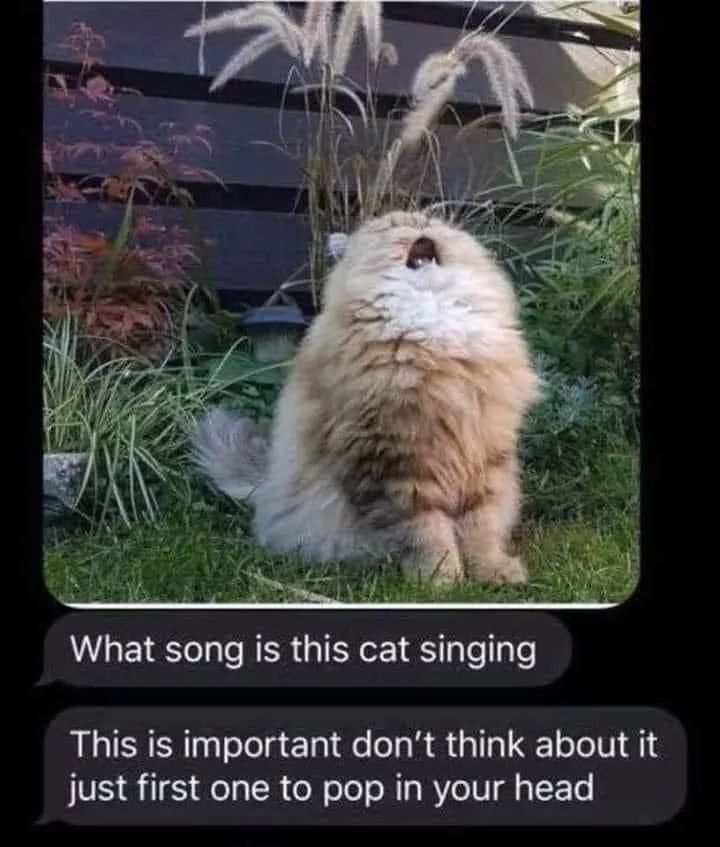 Rperceptionband's tweet photo. What RP song that is.... https://t.co/YHSKfds7PH