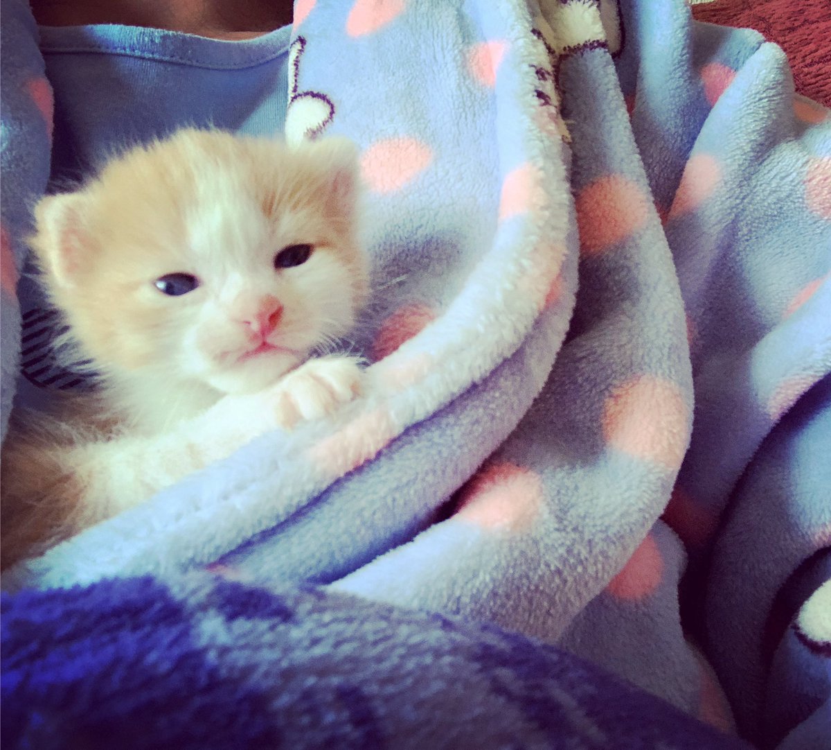 iisapiruleta's tweet photo. Tengo miedo de morir de amor 😍😍😍.
Mi bebita 🥰 https://t.co/jYgDisXqwz