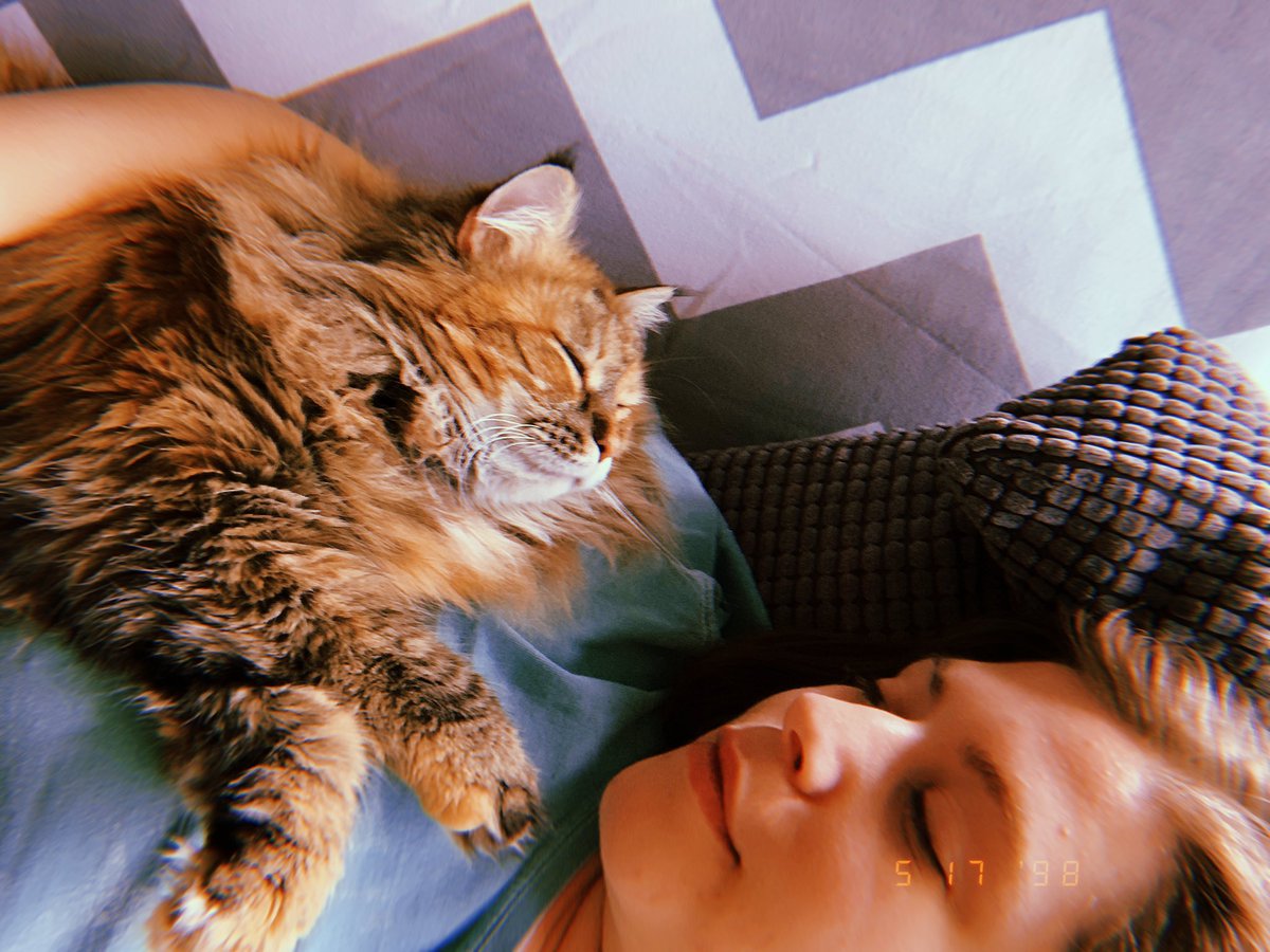 number1catmama's tweet photo. Morning snugs https://t.co/TqAtvJuXDp