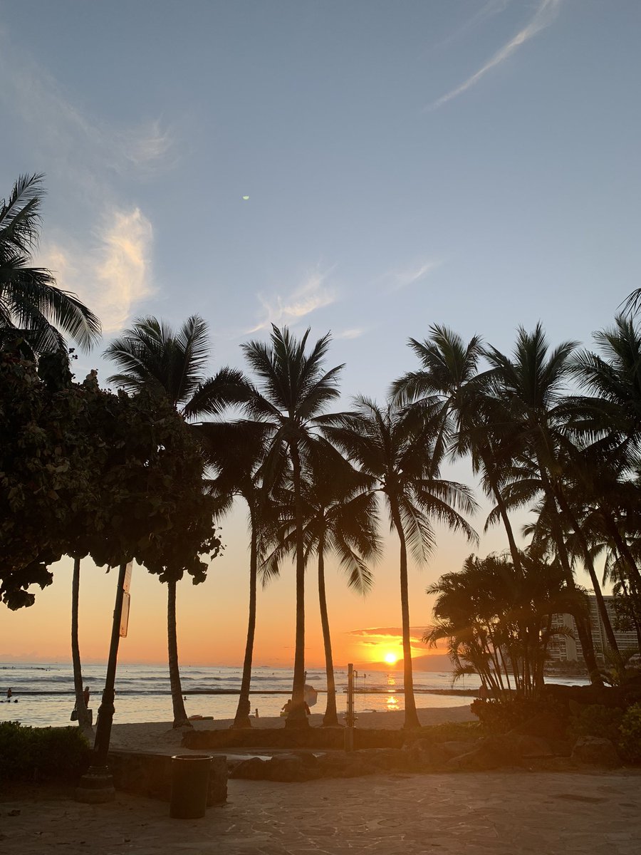 blucorner1's tweet photo. ☀️☀️☀️ https://t.co/Mjpj9mpLY2
