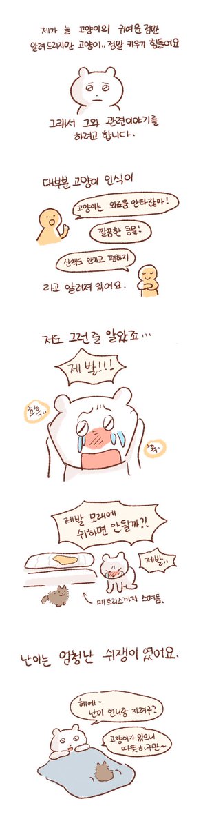 고양이를 키우면서.. 