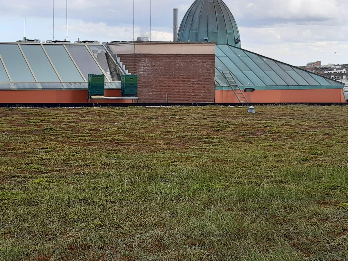 Palace Hotel, Noordwijk tweet media