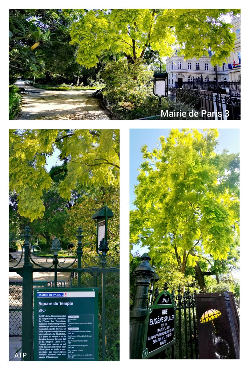 Aux4coinsdu4's tweet photo. A l'instant T... devant @Mairiedu3 on réouvre le #SquareDuTemple pour
raccompagner un canard à 'sa maison' sous la serveillance d'un pigeon en vol ... merci à la Police Municipale ... #ParisCentre #Paris https://t.co/L76UBc44b8