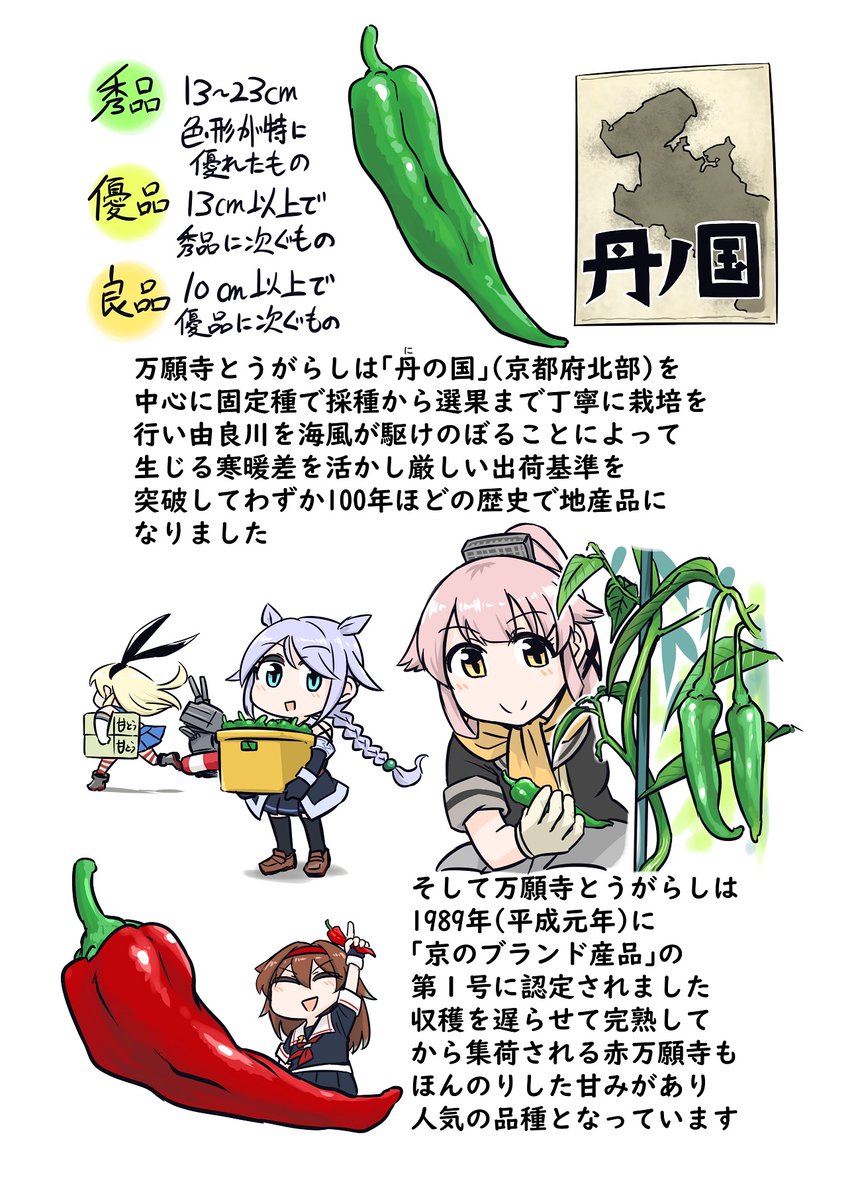 野菜これくしょん ベジこれ 第6弾 万願寺とうがらし編 1/2
今回も野菜ソムリエのふさ太郎さん 
@yukimifusa
との
合作でお送りいたします。 
