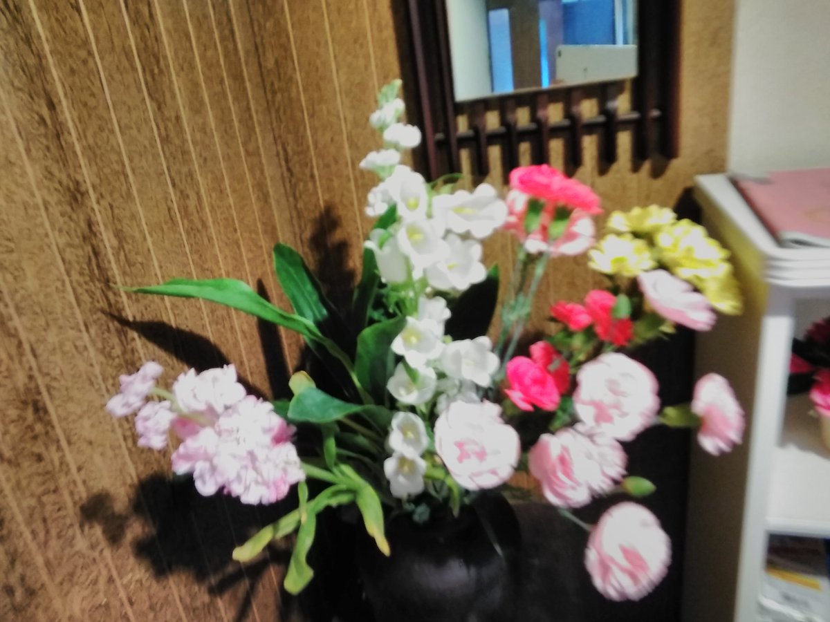宮本真理子 Wsmvlqin1e8ohy2 Twitter 宮本真理子 Wsmvlqin1e8ohy2 Twitter