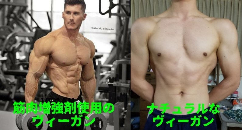 バルクアップ Bulk Up I Ii アナボリックステロイドマニュアル Rehda Com