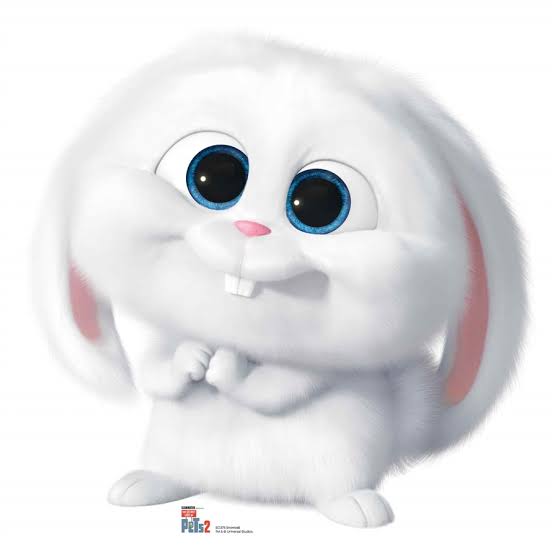 Shahrukh as bunny snowball rabbit Thread