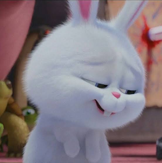 Shahrukh as bunny snowball rabbit Thread