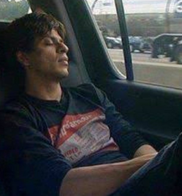 Shahrukh as bunny snowball rabbit Thread