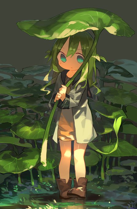 ふき 