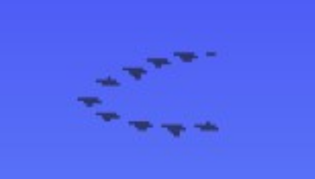 Kup627's tweet photo. @Terraria_Logic Is that a Cackling Goose at the back of the flock https://t.co/yTlMtj8EwY