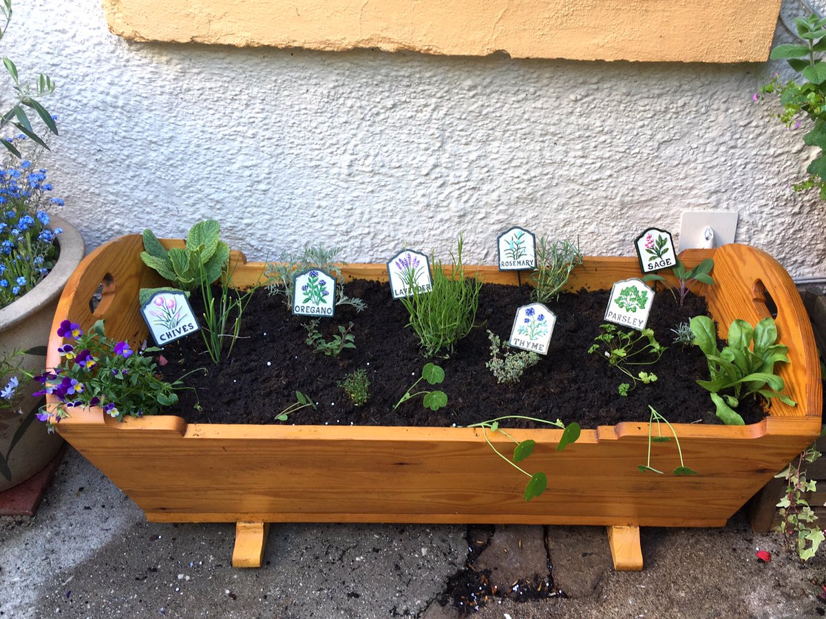 My son has been really wanting to experience more of the sensory tastes and smells of plants lately so together we planted an edible, scented trough for him to enjoy full of herbs and scented and edible flowers. #autism #SensoryExploration