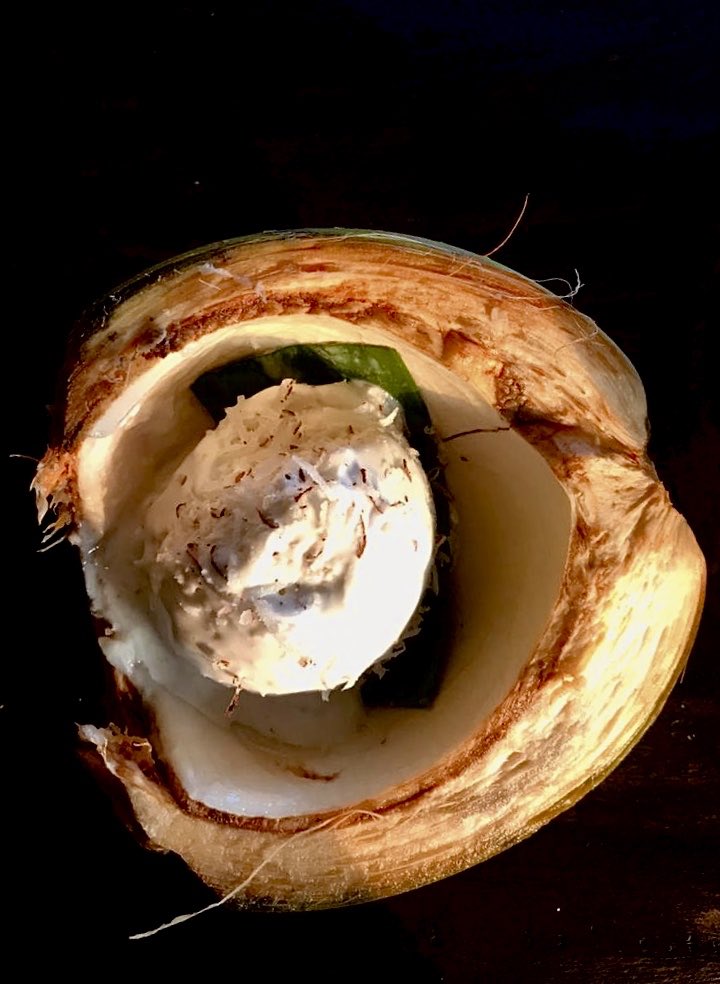 The refreshing coconut ice cream at @CaboSerai is just one example of their craftsmanship with seasonal produce Check out the link below to see more culinary delights from this beautiful property mayaspeak.com/cabo-serai/ #Wanderlust #CaboStory #Platters #TravelBlog #MayaSpeak