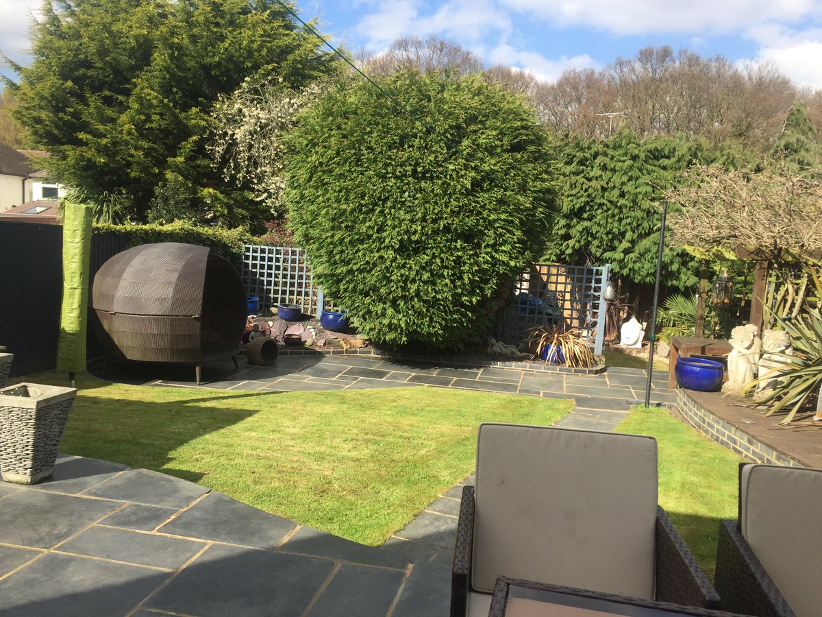 rsmit26's tweet photo. Here’s our garden 5 weeks ago: https://t.co/tMq046INMW