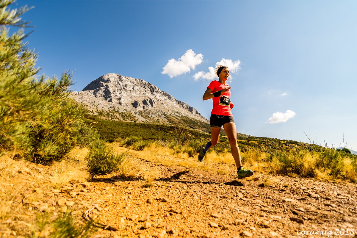 WMRAmountainrun's tweet photo. New WMRA associate race!

Nueva carrera asociada!

Maraton Montana Palentina by UTMP (Palencia) 12/9/20, Camporredondo de Alba

Covid-19 health security protocol will be used

Covid-19 protocolo de seguridad sanitaria

All info at 👉https://t.co/orsfK8Q96J

📷Alberto Coronaz https://t.co/AfVeKwRUtI