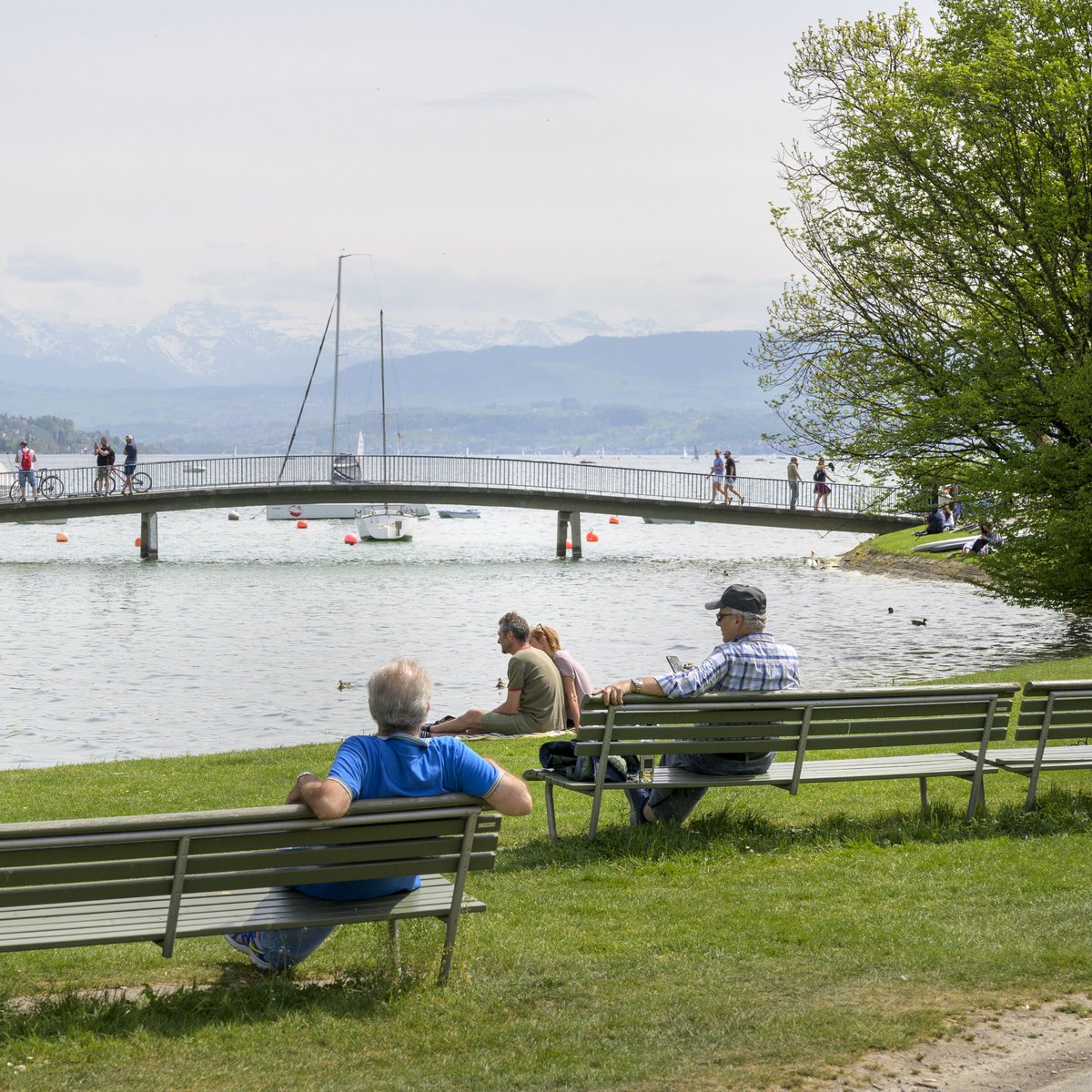 fussverkehr's tweet photo. Mobilité piétonne Suisse s’engage pour que vos droits soient pris en compte dans la planification et les réalisations concrètes des aménagements piétons. #APied #CaMarche #redecouvrir_la_marche #discoverwalking #WalkingAsAChoice #larepriseàpied #pasloindechezmoi #walkforfuture https://t.co/UD3gsCCmh2