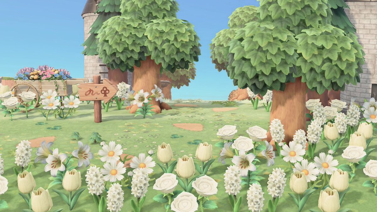 washing_ping's tweet photo. 森に続く道ができました🌳
ペーター君も気に入ってくれたみたい🦌🧡

#AnimalCrossing #acnh
#あつまれどうぶつ森 https://t.co/E6ROXBVWKZ
