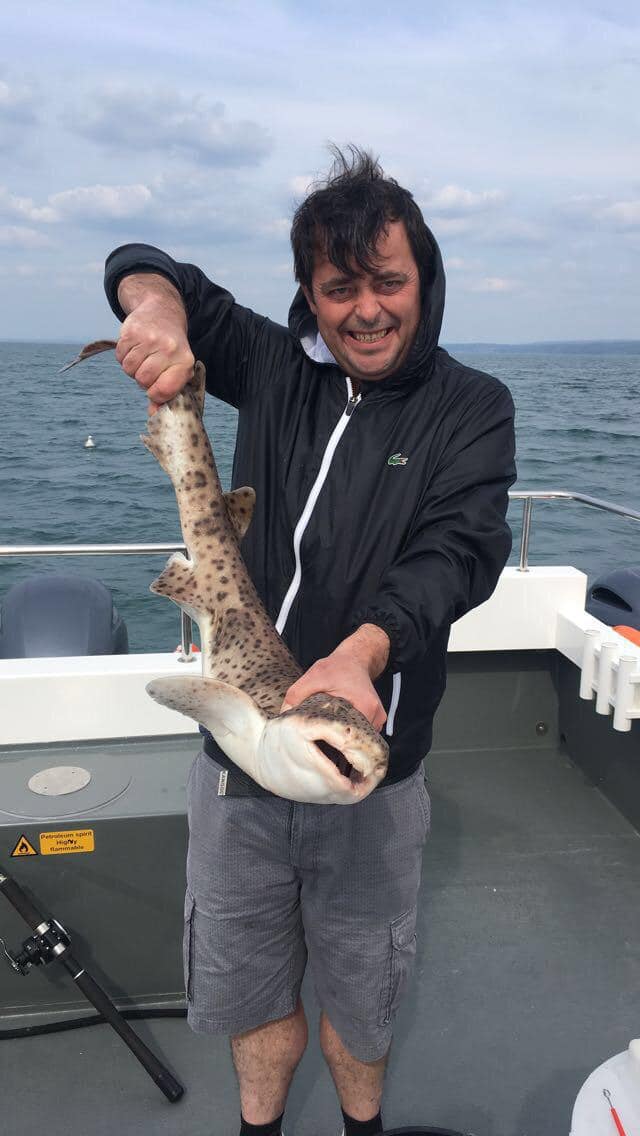 bootlegger1974's tweet photo. well this time last year I had one of the best weeks holiday I ever had on the west coast of Wales with my son dolphin watching eating fish and chips and swilling I pray to got things get back to normal soon as https://t.co/iUfTXvGkHY