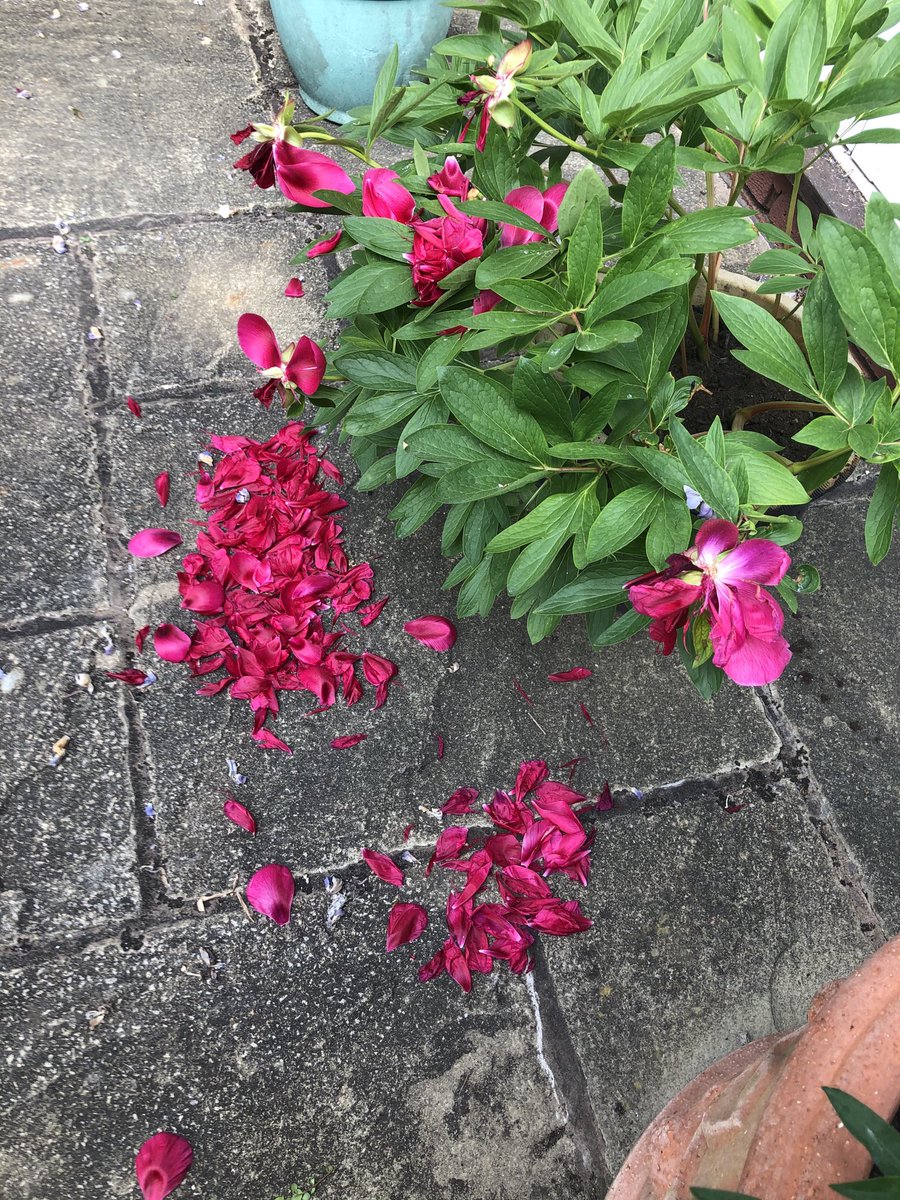 PaulBlezard's tweet photo. #outsidetoday https://t.co/bMNbpWEsal