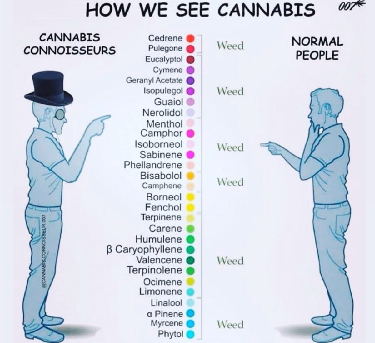 Cannaramic1's tweet photo. #SeeCannabisDifferent https://t.co/dy961OQ97f 💚💚💚 https://t.co/yV4AZjr1PV