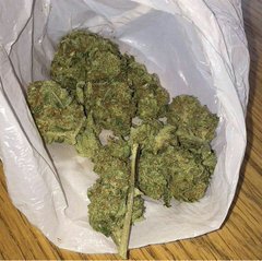34_cannabis's tweet photo. Ib via
Snap: darkshado20 thug

#london #ukstoners #420uk #ganjah #gangster #loudpack #edinburgh #edinburghweed #dublin #amsterdamweed #ukhash #ukbud #bud #stoner #londoncannabisclub #ukcannabis #weed #drugs #drug #joint #stone #stoner #stoners #bedo #uk #franceverte https://t.co/azKJqU3pKm