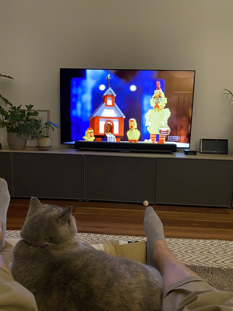 peppergingercat's tweet photo. My cat and I love watching @LEGOMastersAU together. #LEGOMastersAU #chickenforthewin https://t.co/IbV7dALGFW