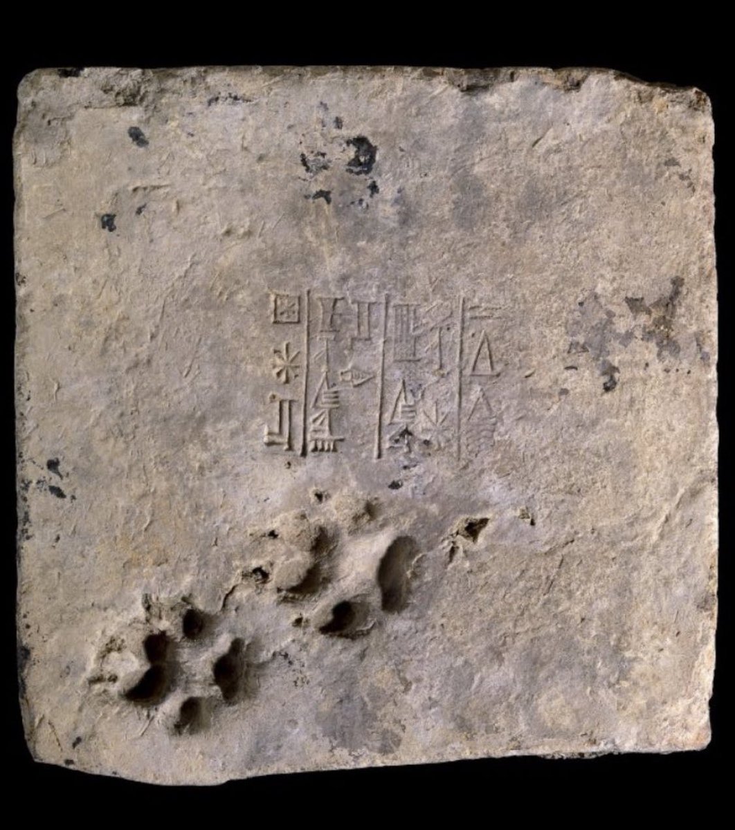 This is a 4,000-year-old mud brick from the ziggurat in the ancient city of Ur in Iraq, stamped with a cuneiform inscription that mentions king Ur-Nammu.The brick also immortalises the paw prints of a very good doggo who walked over it before it dried.