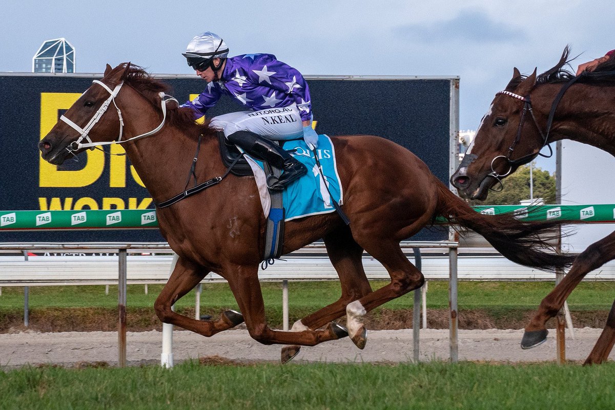 RacingHenderson's tweet photo. Proud of Mares, as breeding stock hits new high - 4 winners over 8 days; AIDENSFIELD (Dissident @NewgateFarm x Muscovado) UNDENIABLE (NASD @ArrowfieldStud x Street Storm) WOLF MOON (Wandjina x Anabaa’s Legacy) GRESHAM (Sebring @widdenstud x Peach Tree) https://t.co/eapj9NrJaV