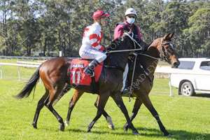 RacingHenderson's tweet photo. Proud of Mares, as breeding stock hits new high - 4 winners over 8 days; AIDENSFIELD (Dissident @NewgateFarm x Muscovado) UNDENIABLE (NASD @ArrowfieldStud x Street Storm) WOLF MOON (Wandjina x Anabaa’s Legacy) GRESHAM (Sebring @widdenstud x Peach Tree) https://t.co/eapj9NrJaV