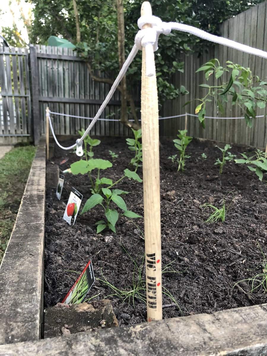 dpm1968's tweet photo. @vicfirth a few pair of old Vics still working for us...keeping the dog out of the vege garden 🥁 https://t.co/8G4jTc66EQ