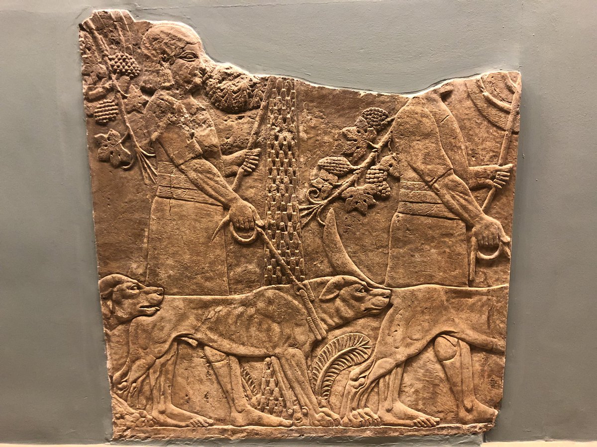 A Neo-Assyrian relief from the 7th century BCE found in a palace at Nineveh, Iraq shows handlers with dogs as part of a hunting scene.Dogs helped with everything from hunting to healing (...alongside less appealing tasks like sanitation).