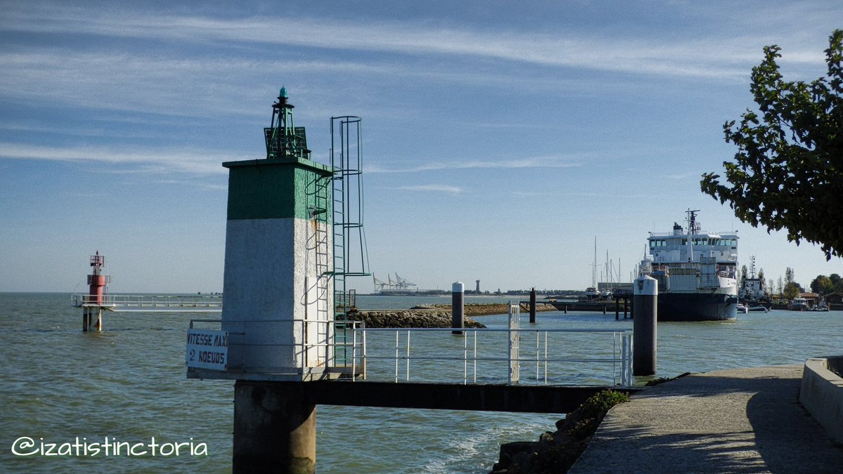 izatistinctoria's tweet photo. #IsatisRandomPhoto 
#LeVerdon #Gironde #Atlantique https://t.co/j9tGhsiVtb