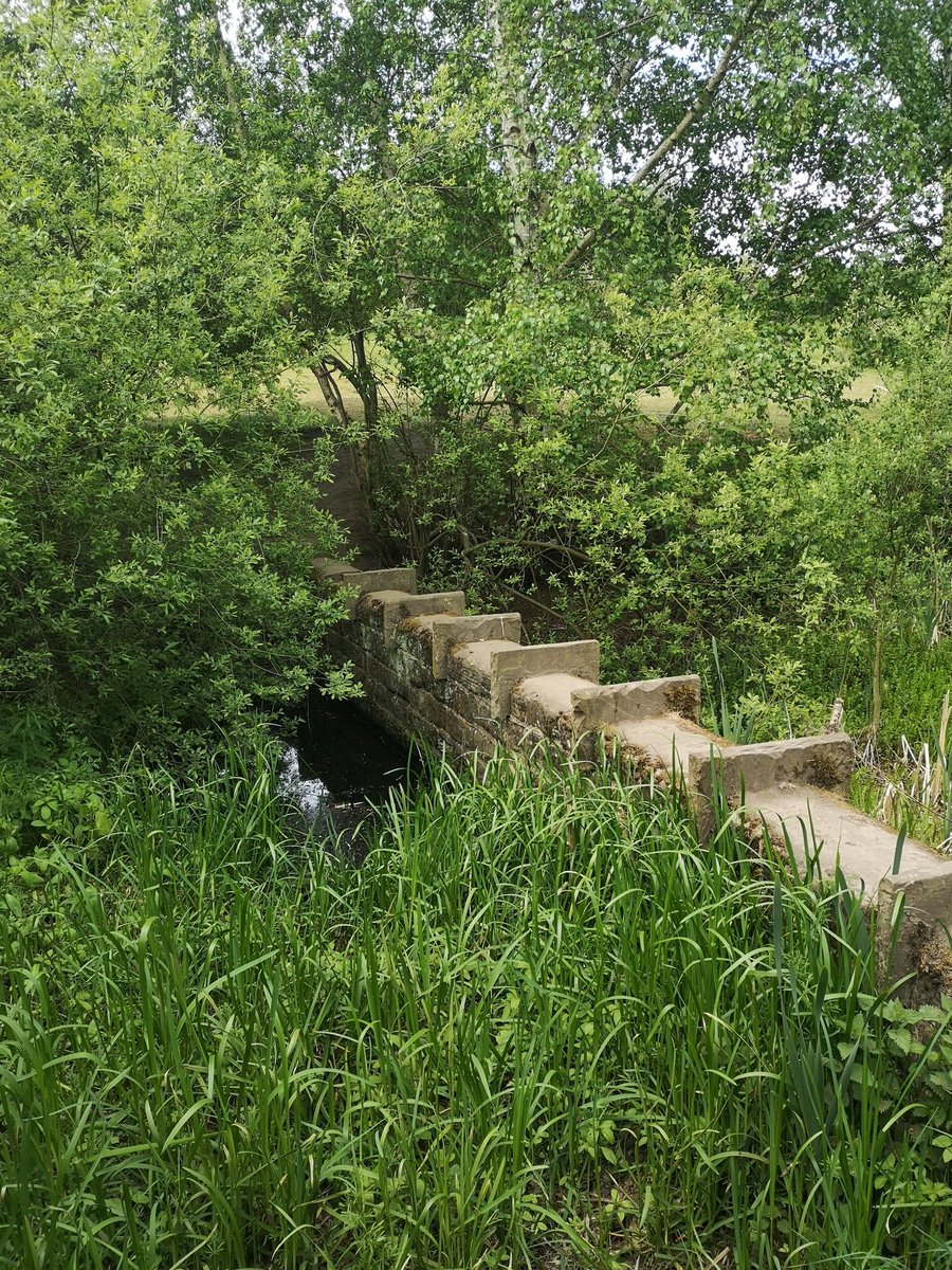 Bex2145's tweet photo. Nice morning stroll, I really do love our Mother Nature ❤️💚 🌳🌲🌞 https://t.co/rp4qKwsTnv
