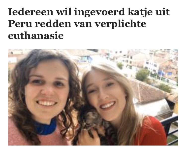 Toon Wassenberg tweet media