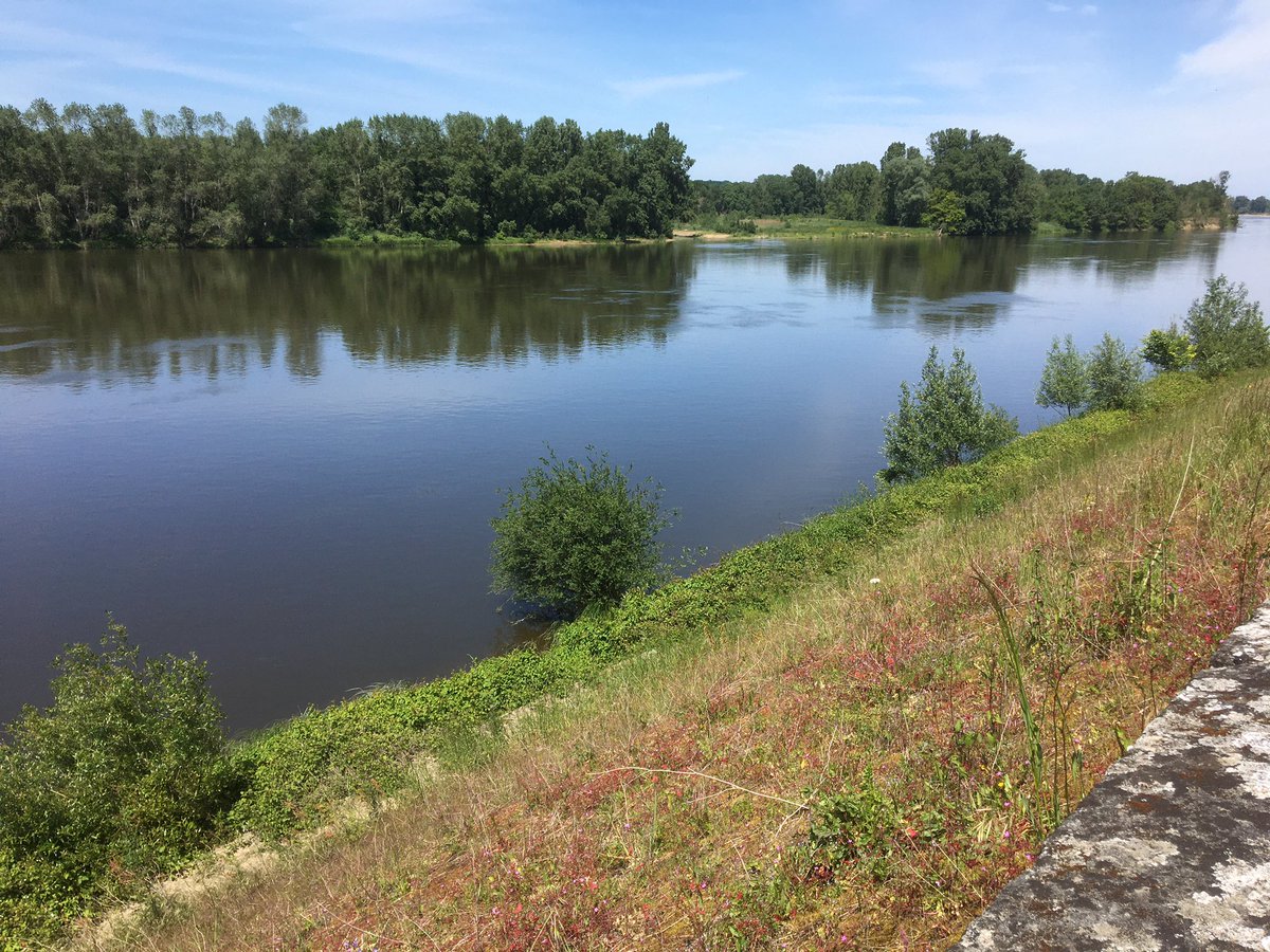 SoValDeLoire's tweet photo. ☀️ Grand soleil aujourd’hui en Val de Loire ! Avez-vous prévu une sortie cet après-midi ?
Bon dimanche à tous !
📍Bréhémont, #Touraine https://t.co/5LQpc5jytu