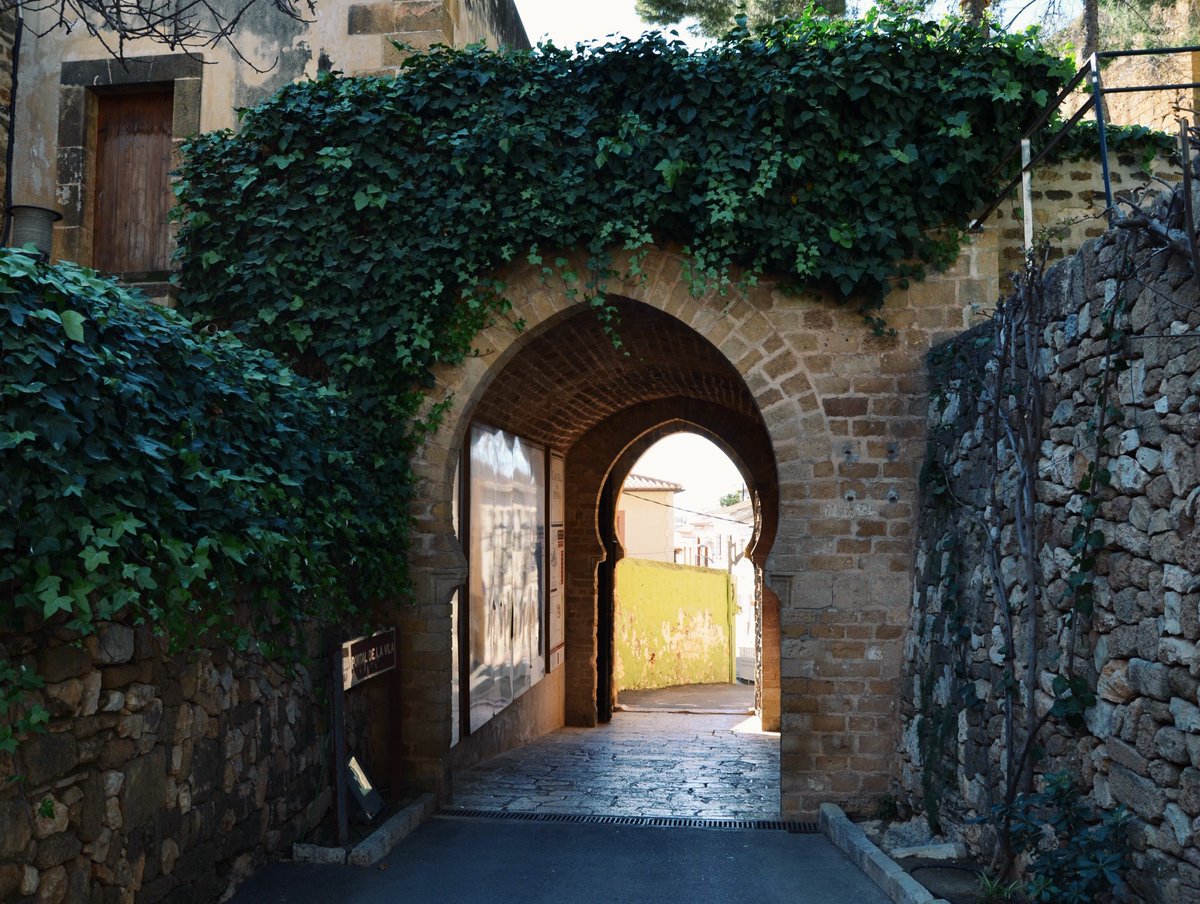 DeniaTurismo's tweet photo. Visitar Dénia es una experiencia que no se puede describir, hay que vivirla. 
Por eso, cuando todo esto acabe, te invitamos a que te enamores de sus gentes, su gastronomía, sus calles llenas de historia, sus playas...  #Tucasasinti #TurismoDénia
@costablancaorg @c_valenciana https://t.co/t3zZ2m6l2F