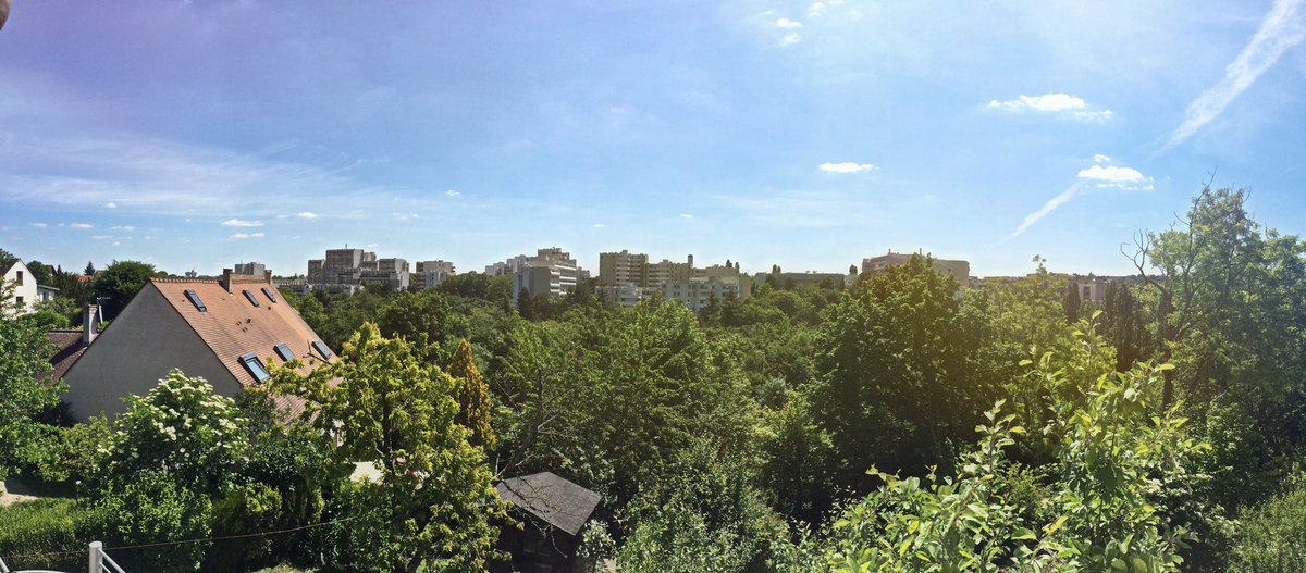 １９４.１９ Ｃｏｆｆｅｅ tweet media