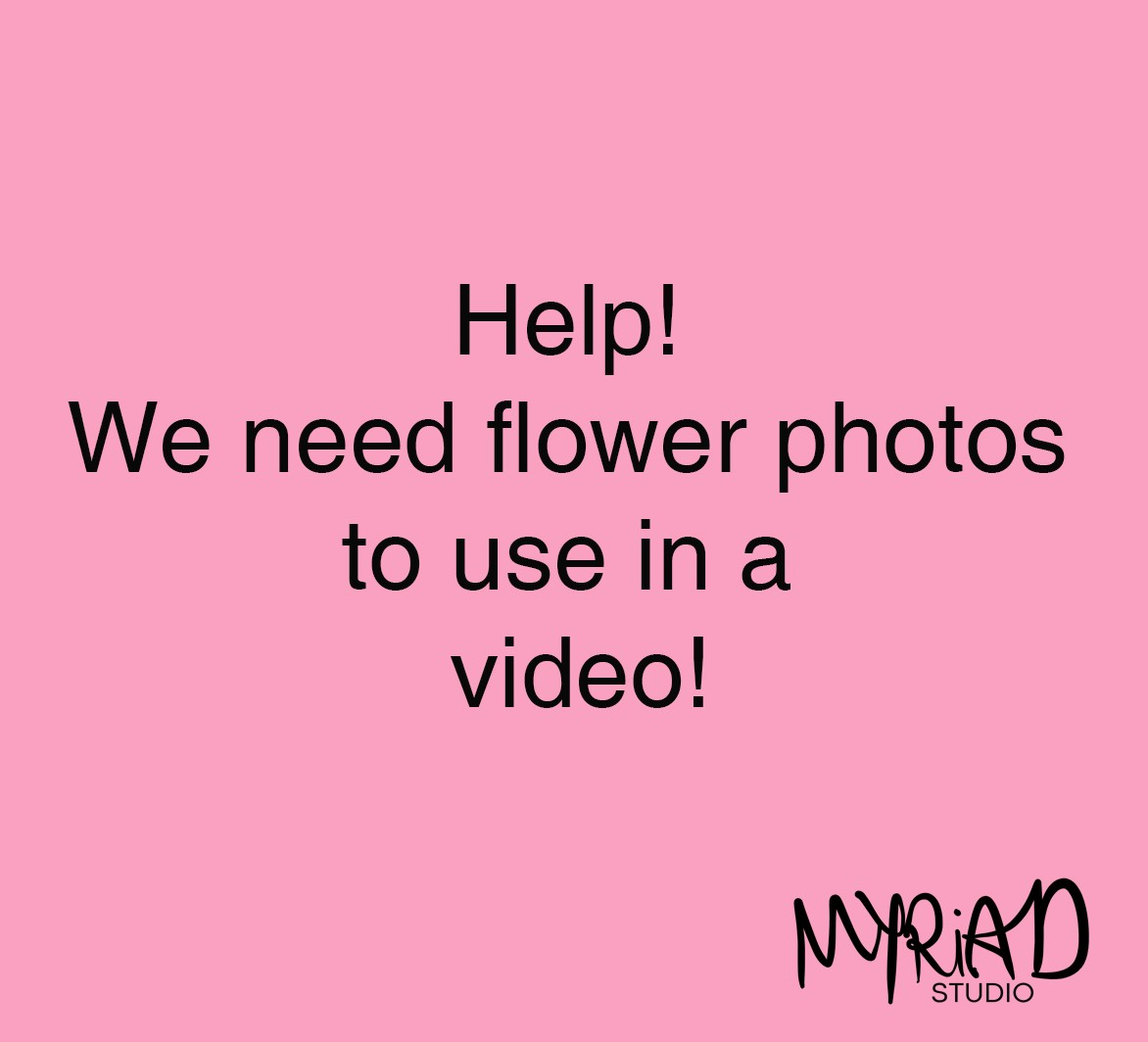 We need your help! 
We are working on a project and need images of different flowers
It would be great if you could send us pictures of flowers you have taken to be used in a video as inspiration for people to create their own, landscape is best
email: info@myriadstudio.uk
