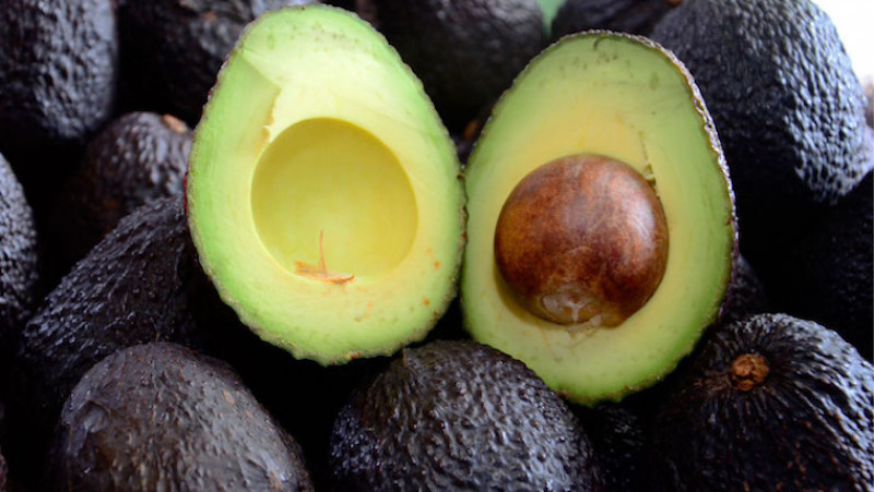 REVISTAFYH's tweet photo. .@Mercadona compra 7.100 toneladas de #aguacate nacional para sus #supermercados #frutas #subtropicales #Saludablemente #QuédateEnCasa #QuedaUnDíaMenos https://t.co/YKYNrFce61 #Tropicalmillenium .@fTROPS #Exceltrop #Provelpacklaga https://t.co/i2hsRRb8Bo